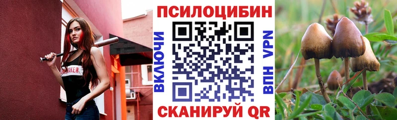 Псилоцибиновые грибы Psilocybe  MEGA ссылки  Белая Калитва  наркота 